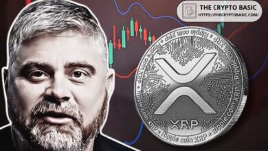 BitBoy Asegura que XRP Superará a Ethereum: ¡Descubre su Predicción de Precios entre $16.5 y $22! - Cripto Boom