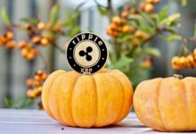 IA predice el precio de XRP para Halloween 2024: ¡Descubre las proyecciones! - Cripto Boom