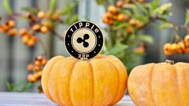 IA predice el precio de XRP para Halloween 2024: ¡Descubre las proyecciones! - Cripto Boom