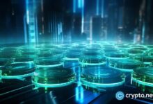 Wintermute: ¡Descubre cómo el 40% del volumen de Solana se centra en las criptomonedas meme! - Cripto Boom