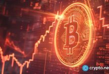 ¿Está Bitcoin preparándose para una explosión a $100K? Descubre lo que se está gestando - Cripto Boom