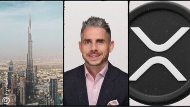 El director de Ripple en ME, Reece Merrick, está ansioso por lanzar la stablecoin RLUSD en Emiratos Árabes. ¡Descubre más! - Cripto Boom