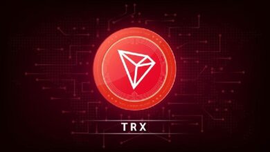 El Ingreso de Tron Aumenta un 6% en TRX en el Tercer Trimestre de 2024 Durante el Auge de las Meme Coins - ¡Descubre los Detalles! - Cripto Boom