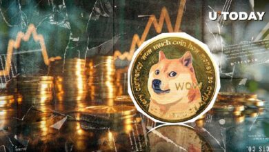 Dogecoin (DOGE) Experimenta Impresionante Aumento del 133,000%: ¿Descubre Qué Ocurre? - Cripto Boom