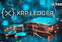 "XRPL Xaman Wallet Alcanza un Máximo en Meses: Logro Clave para los Usuarios ¡Descúbrelo!" - Cripto Boom