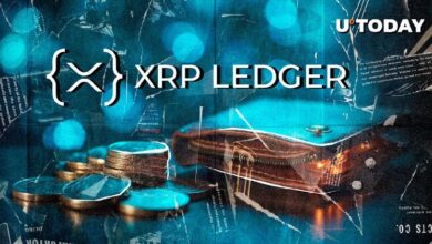 "XRPL Xaman Wallet Alcanza un Máximo en Meses: Logro Clave para los Usuarios ¡Descúbrelo!" - Cripto Boom