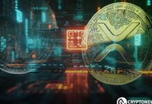 XRP Impulsa Aceleración de Pagos Transfronterizos de BRICS en el Proyecto mBridge: Descubre Más - Cripto Boom