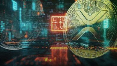 XRP Impulsa Aceleración de Pagos Transfronterizos de BRICS en el Proyecto mBridge: Descubre Más - Cripto Boom