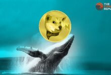 Las Ballenas Siguen Acumulando NEIRO Mientras Sigue Incrementándose: ¡Descubre Qué Ocurre! - Cripto Boom