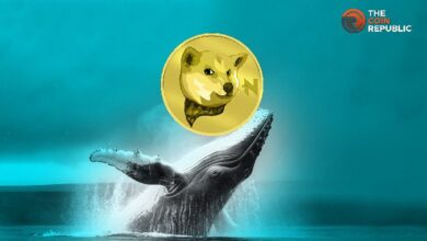 Las Ballenas Siguen Acumulando NEIRO Mientras Sigue Incrementándose: ¡Descubre Qué Ocurre! - Cripto Boom