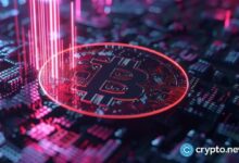 Bitcoin Cash sube un 12% en 24 horas: ¿Continuará la racha alcista? - Cripto Boom