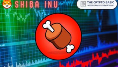 Shiba Inu Revela la Única Pregunta que Preocupa al SHIBArmy: Descúbrela Ahora - Cripto Boom