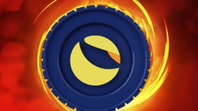 LUNC Apunta a una Gran Ruptura con Triángulo Ascendente: ¿Romperá la Resistencia Clave? - Cripto Boom