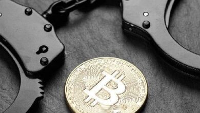 ¡Descubre el Fraude Cripto en Hong Kong que Defraudó 360 Millones de HKD! - Cripto Boom