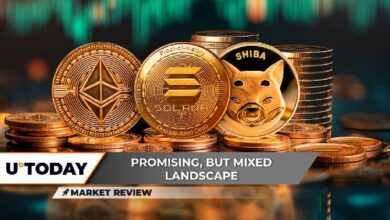 ¡El Mayor Regreso de Ethereum (ETH) en el 4T! ¿Shiba Inu (SHIB) Entra en Nueva Fase Alcista? ¿Patrón Doble Techo en Solana (SOL)? - Cripto Boom
