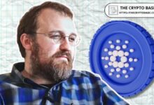 Hoskinson Revela por Qué Este Capitalista de Riesgo Ignora a Cardano en el Último Informe Cripto: Descubre Más - Cripto Boom