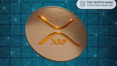 ¿Puede XRP Alcanzar $10, $100 o $500 con un Mercado de $100 Mil Millones? Descúbrelo Aquí - Cripto Boom