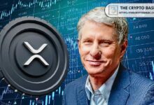 Informe: Los 2.75B XRP de Chris Larsen Podrían Pronto Apoyar Ripple ODL con el Ajuste de la Oferta - ¡Descubre Más! - Cripto Boom