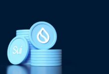 Sui: Socio de Infraestructura Lanzará $20 Millones Más en Medio de Fiebre de Ventas - ¡Descubre Más! - Cripto Boom