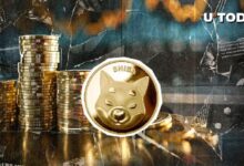 ¿Puede Este Rescate de 443 Billones de Shiba Inu (SHIB) Salvar el Día? Descúbrelo Aquí - Cripto Boom