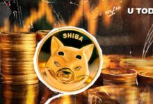 Shiba Inu (SHIB) se Dispara un 517% en Actividad de Ballenas: ¡Descubre los Detalles de la Nueva Alianza! - Cripto Boom