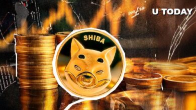 Shiba Inu (SHIB) se Dispara un 517% en Actividad de Ballenas: ¡Descubre los Detalles de la Nueva Alianza! - Cripto Boom