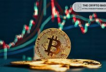 Experto Predice Bitcoin Alcanzando $300-500K: ¡Prepárate para la Fiebre de Compras de las Ballenas! - Cripto Boom