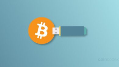 Los 4 Mejores Mineros USB de Bitcoin en 2024: ¡Descubre Tu Opción Ideal! - Cripto Boom