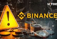 BNB Chain Emite Crucial Advertencia de Estafa a los Usuarios: ¡Infórmate Ahora! - Cripto Boom