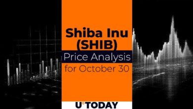 Predicción del Precio de SHIB para el 30 de Octubre: ¡Descubre el Futuro del Mercado! - Cripto Boom