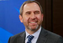Nuevas Declaraciones del CEO de Ripple: "En los Próximos 12 a 18 Meses…" ¡Descubre Más! - Cripto Boom