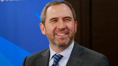 Nuevas Declaraciones del CEO de Ripple: "En los Próximos 12 a 18 Meses…" ¡Descubre Más! - Cripto Boom