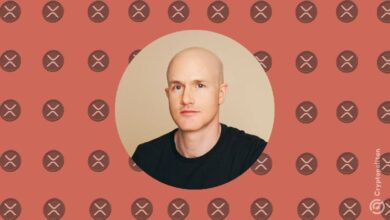 El CEO de Coinbase apoya a abogado pro-XRP y desafía la agenda de Warren: Descubre por qué! - Cripto Boom