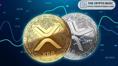 Experto Afirma que la Mayoría No Comprará XRP Hasta que Alcance $5-$10 - ¡Descubre por Qué! - Cripto Boom