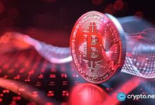 MSTU y MSTX: ¡Descubre el auge de estos ETFs de MicroStrategy! - Cripto Boom