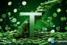 ¡Descubre cómo Tether sumó 36.25 millones de usuarios de USDT en el tercer trimestre de 2024! - Cripto Boom