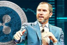 CEO de Ripple, Brad Garlinghouse: A los Votantes les Importa el Cripto y XRP - Descubre Más - Cripto Boom