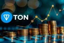 ¿Por Qué la Nueva Era de Tokens TON se Etiqueta Erróneamente como Monedas Meme? Descúbrelo Aquí! - Cripto Boom