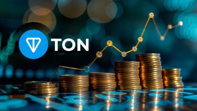 ¿Por Qué la Nueva Era de Tokens TON se Etiqueta Erróneamente como Monedas Meme? Descúbrelo Aquí! - Cripto Boom