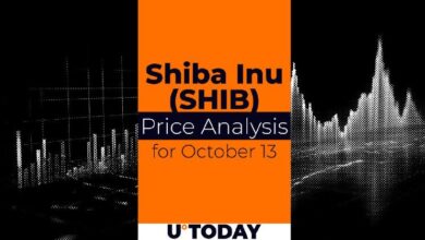 Predicción del Precio de SHIB para el 13 de Octubre: ¡Descubre lo Último! - Cripto Boom
