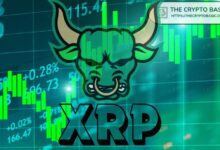 Experto Recomienda Mantener XRP Hasta Alcanzar $100 Si Tuviera 1,000 XRP: Descubre Por Qué - Cripto Boom