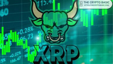 Experto Recomienda Mantener XRP Hasta Alcanzar $100 Si Tuviera 1,000 XRP: Descubre Por Qué - Cripto Boom