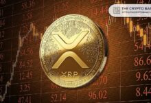 Experto de Mercado Asegura que Esta Vez es Diferente para XRP: Descubre Por Qué - Cripto Boom