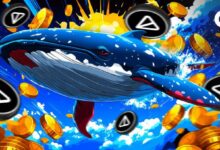 Ballenas de Notcoin (NOT) Acumulan mientras el Precio Aumenta un 11% - Descubre los Detalles - Cripto Boom