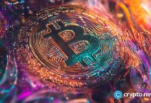 Adopción de Bitcoin y uso de psicodélicos: Sembrando un nuevo mundo | Opinión - Cripto Boom