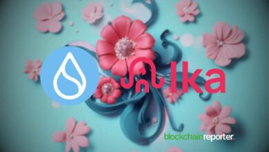 Ika se lanza en Sui, revolucionando soluciones MPC en blockchain: ¡Descubre la innovación ahora! - Cripto Boom