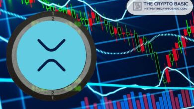 Experto Critica XRP y Revela Cómo Puede Aumentar su Valor - Descubre la Clave Aquí - Cripto Boom