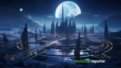 Router Protocol se asocia con Soneium para un acceso fluido al ecosistema: Descubre más - Cripto Boom