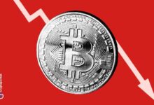 Interés global de búsqueda de Bitcoin cae a 31 en octubre 2024: ¿Qué significa para ti? - Cripto Boom