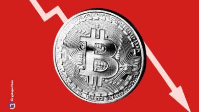 Interés global de búsqueda de Bitcoin cae a 31 en octubre 2024: ¿Qué significa para ti? - Cripto Boom